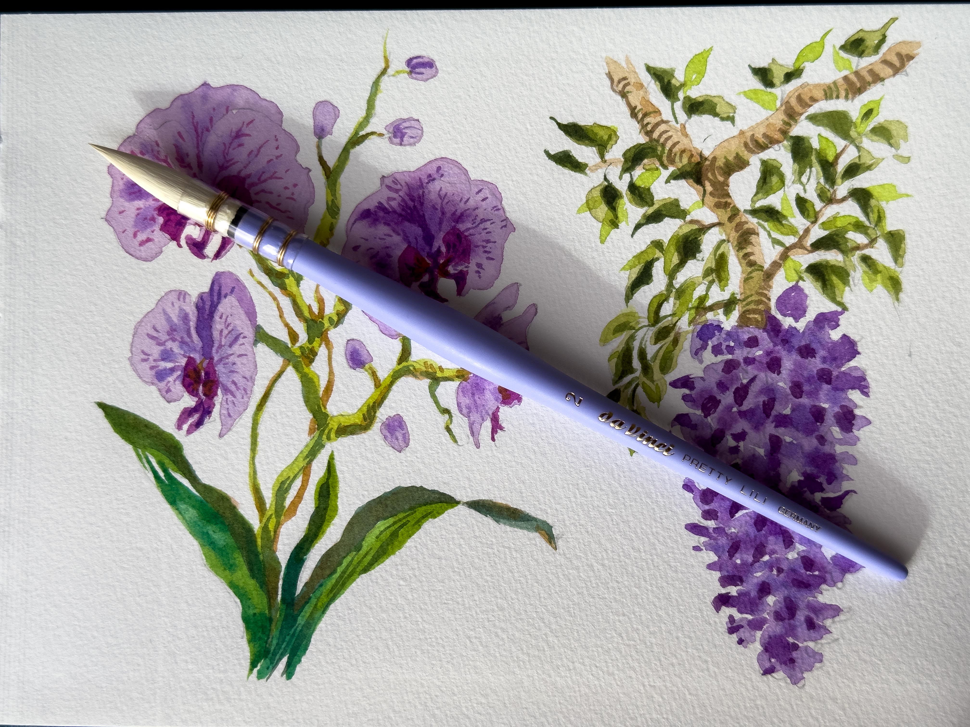 Miniature 2