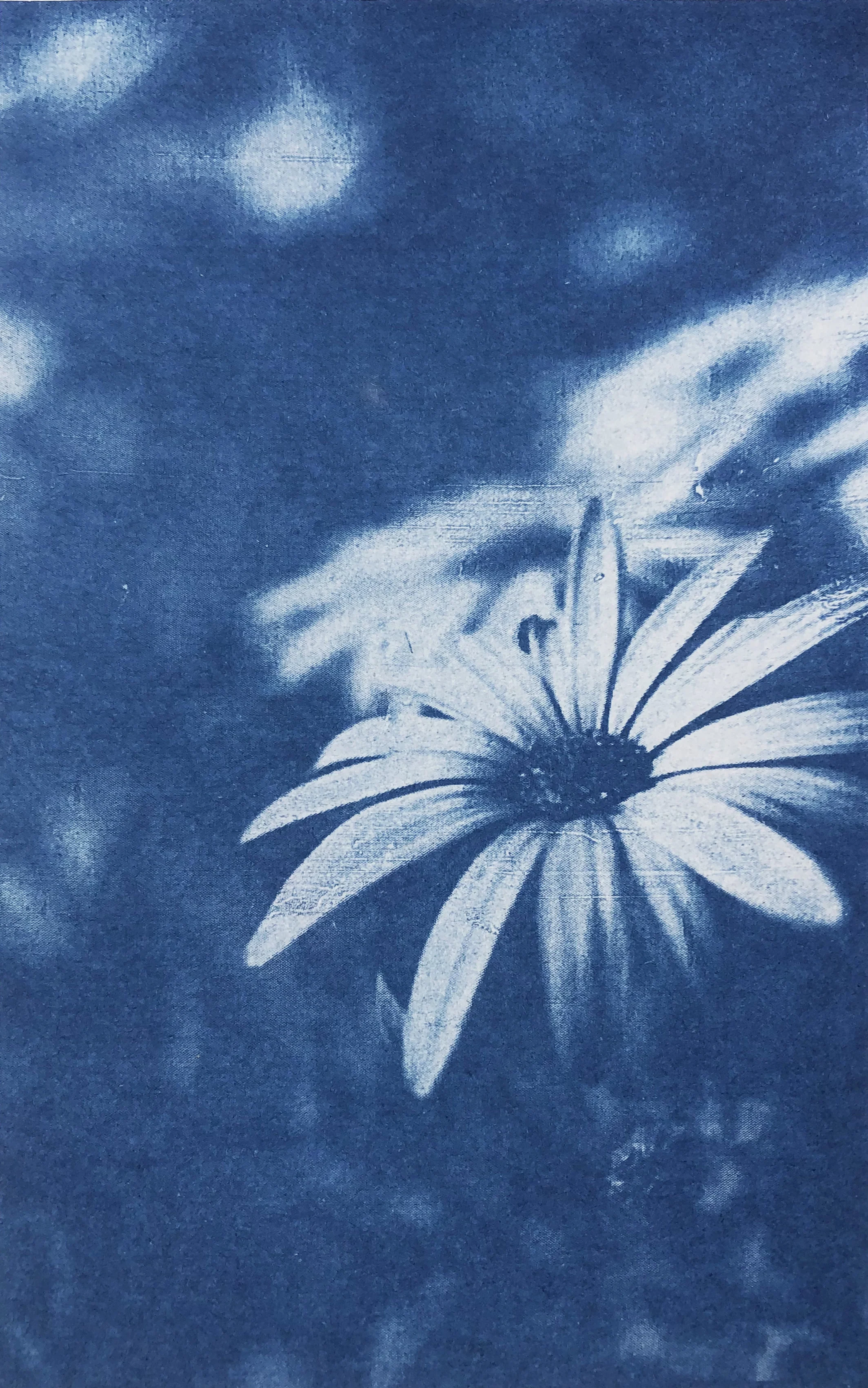 Miniature 4
